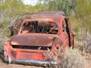 PICTURES/Vulture Mine/t_73_Rusty Anglia.jpg